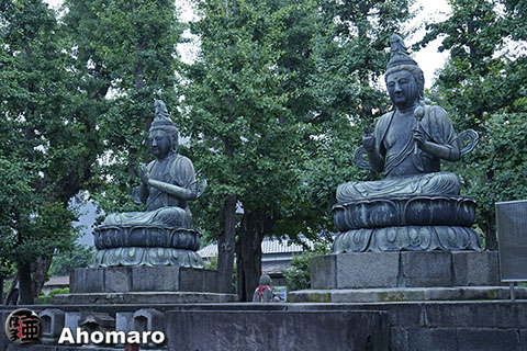 写真00