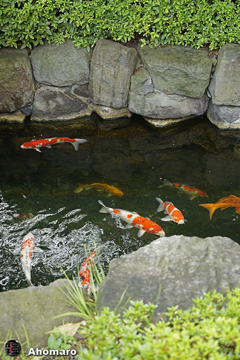 写真00