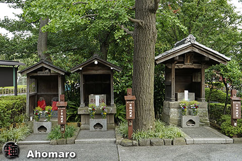 写真00