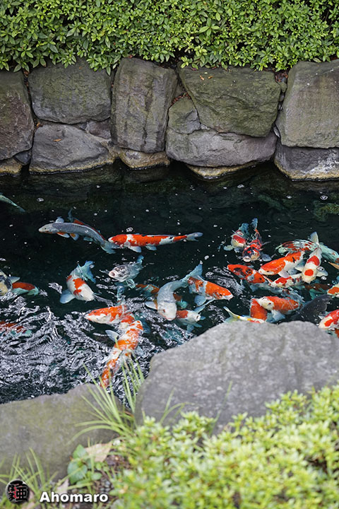写真00