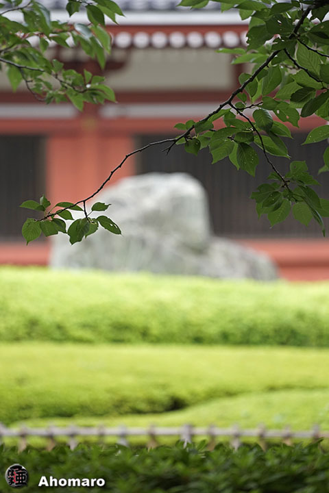写真00