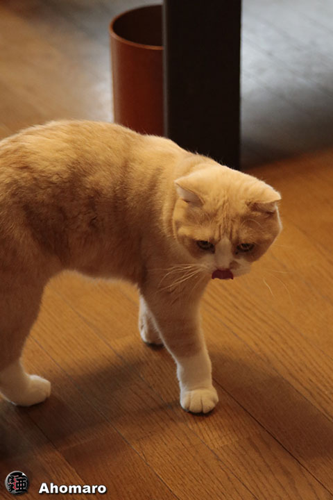 ʐ^00