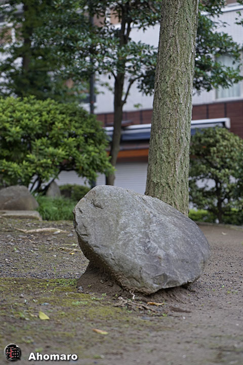 写真00