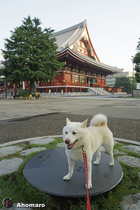 写真00