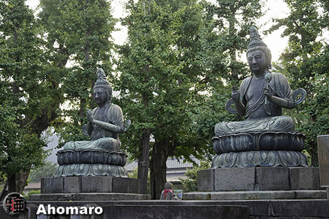 写真00