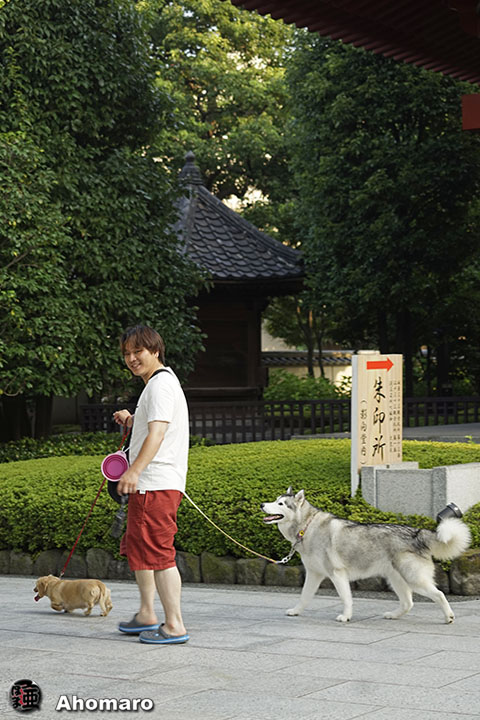写真00