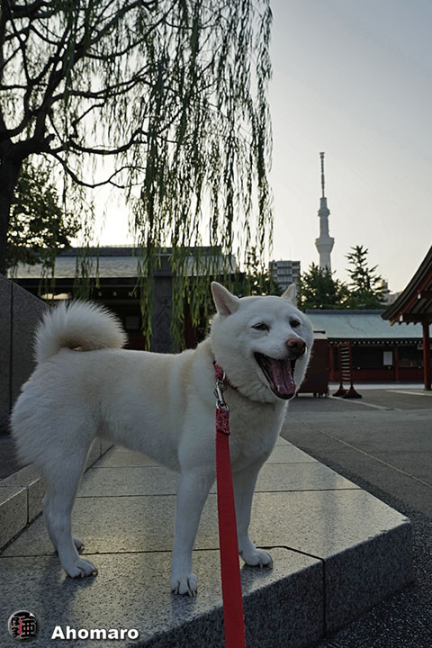 写真00