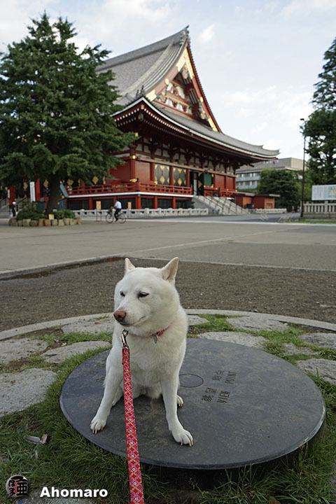 写真00