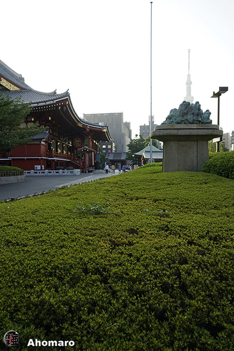 写真00