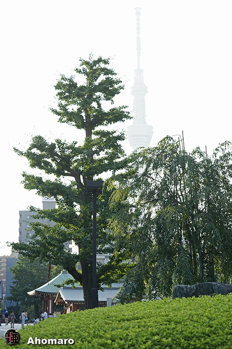 写真00