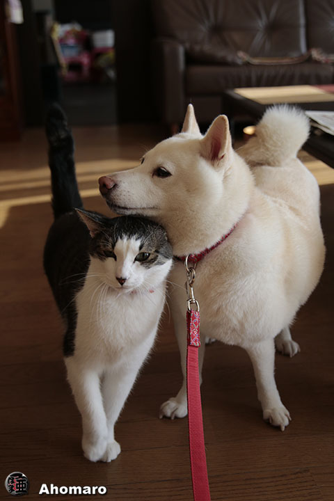 写真00