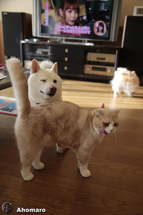 写真00