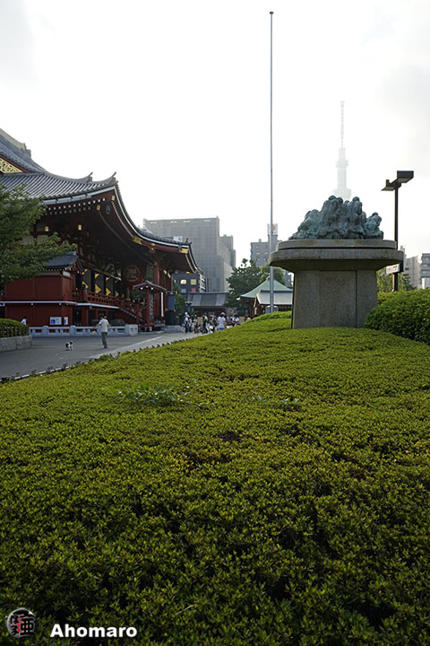 写真00