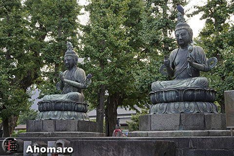 写真00