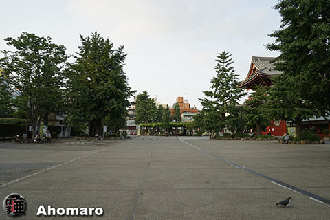 写真00
