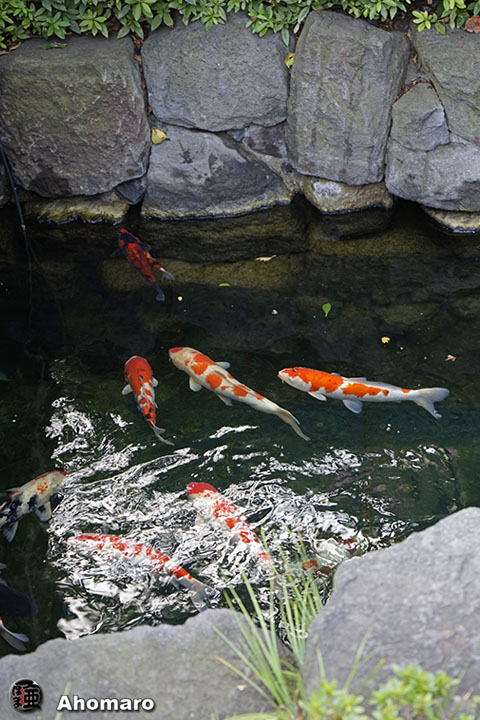 写真00