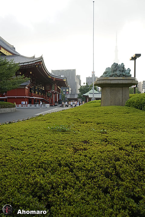 写真00