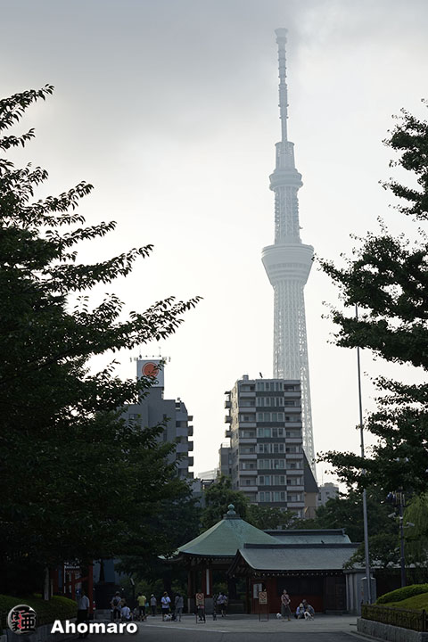 写真00