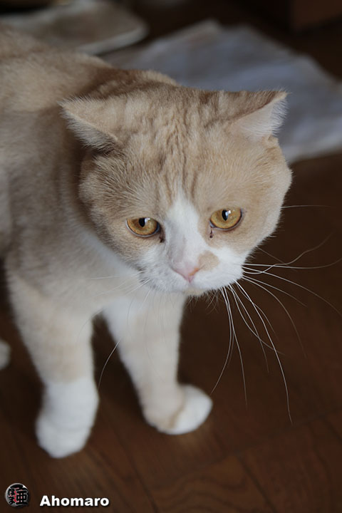 写真00