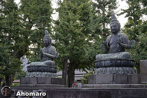 写真00