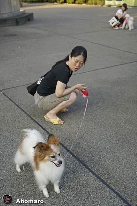 写真00