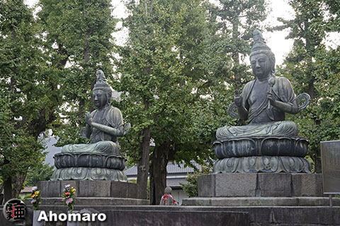 写真00