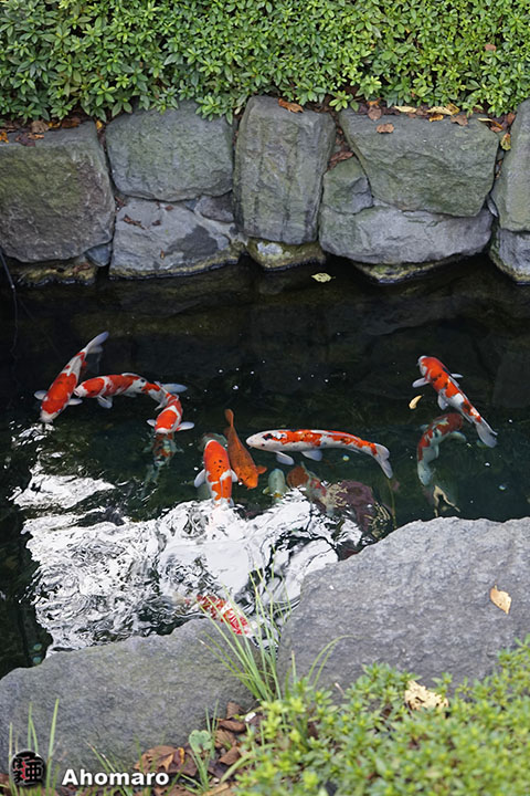写真00