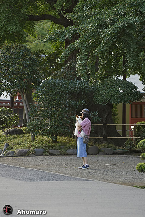 写真00