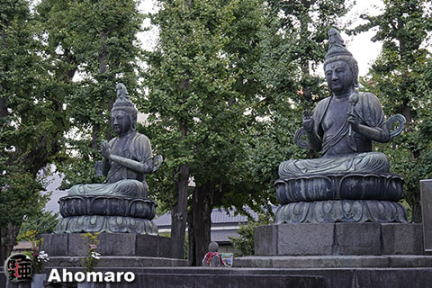 写真00