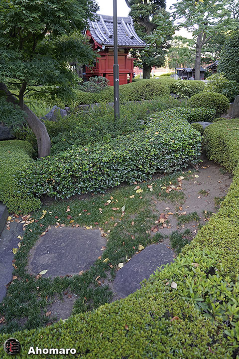 写真00