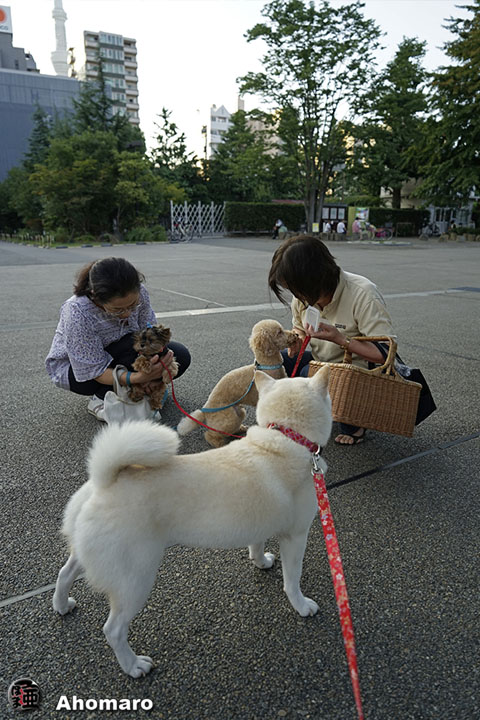 写真00