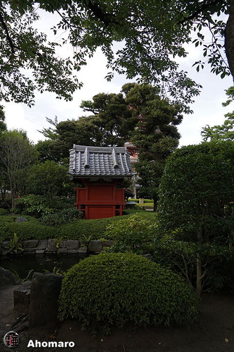 写真00