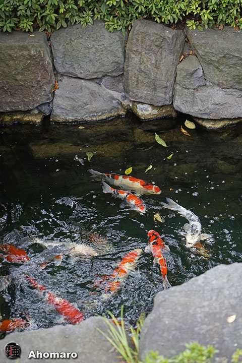 写真00