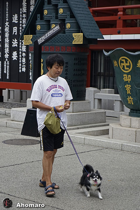 写真00