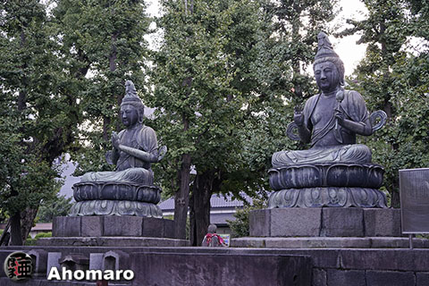 写真00