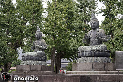 写真00
