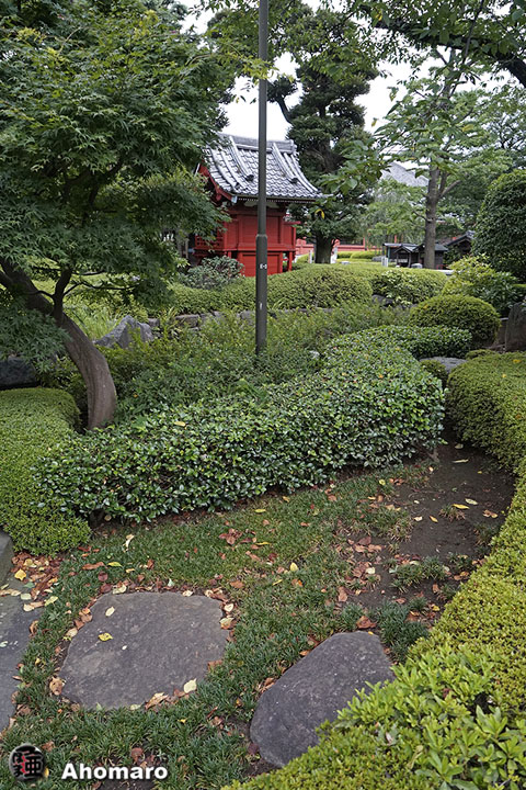 写真00
