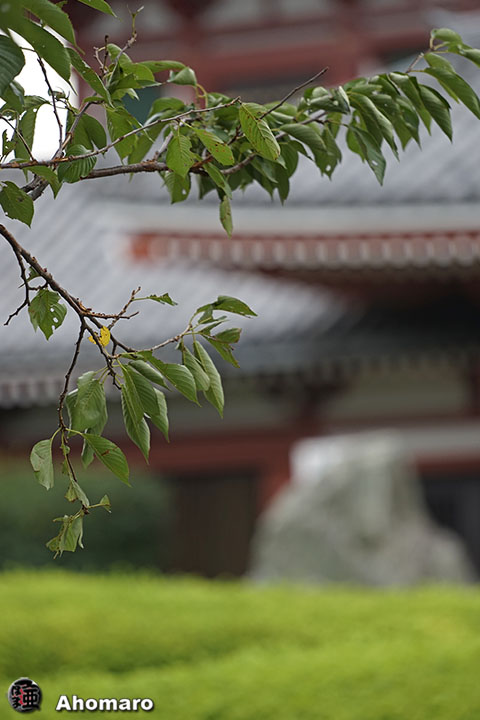 写真00