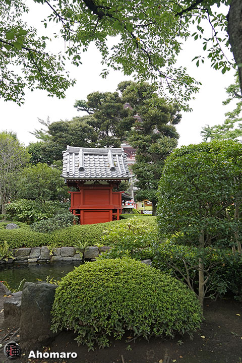 写真00