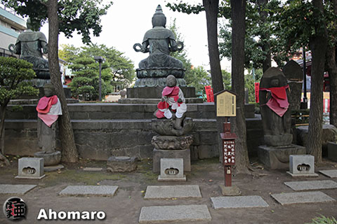 写真00
