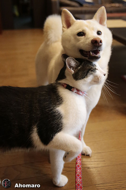 写真00