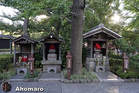 写真00