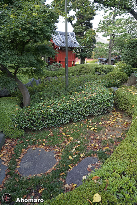 写真00