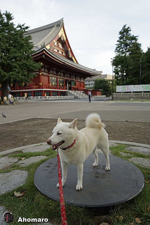 写真00