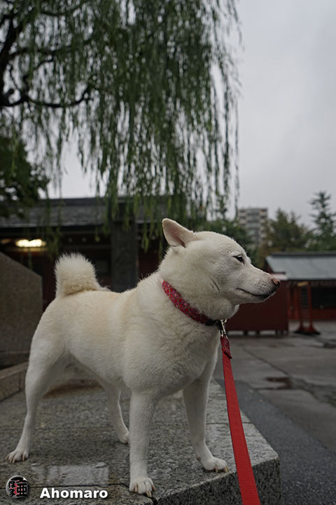 写真00