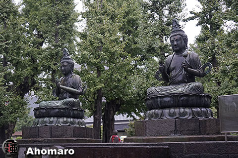 写真00