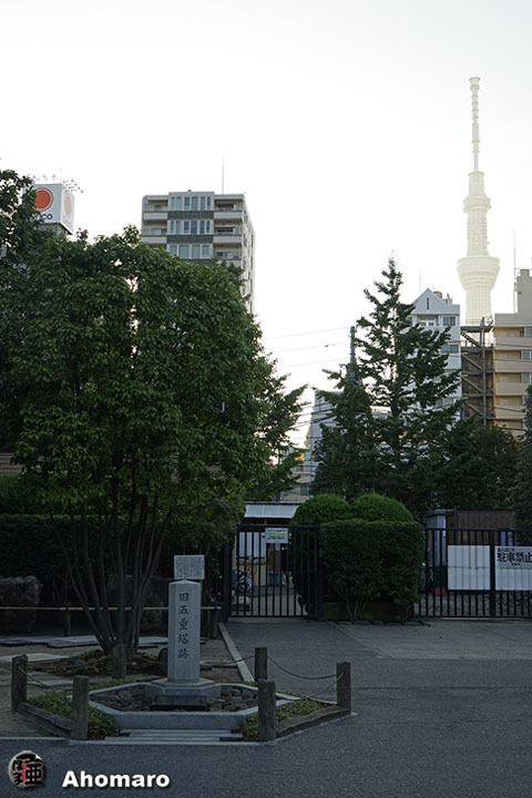写真00
