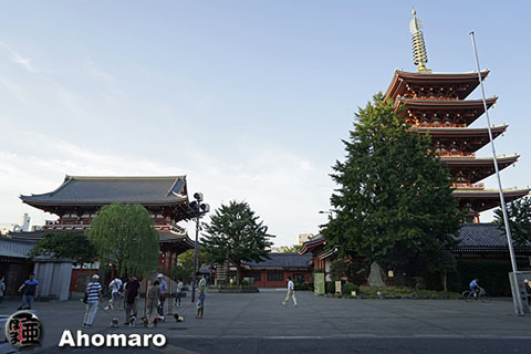 写真00