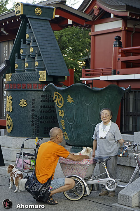 写真00
