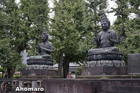 写真00